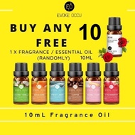Evoke Occu 10ML Fragrance Oil for Air Purification &amp; Candle &amp; Soap &amp; Beauty Products making Scenes Increase fragrance