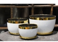 Ceramic Gold Line White Vase 🌳 Pasu Seramik / Pasu Bunga / Pasu Pokok / Planter Pot / Flower Pot / Pasu Orkid 陶瓷花盆金边白色盆