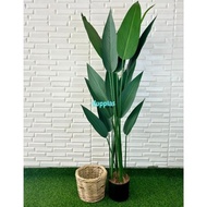 pohon artifiicial tanaman hias heliconia pisangan t150 latex cover pot anyaman rotan bulat dekorasi 
