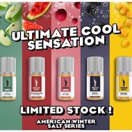 LIQUID AMERICAN WINTER SALTNIC 30ML LIQUID AMERICAN WINTER ORIGINAL