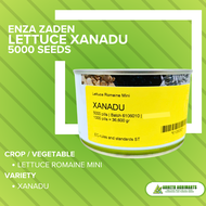 XANADU MINI ROMAINE LETTUCE SEEDS BY ENZA ZADEN 5000 pills can