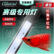 {T8-1730mm-6Ft} LumiGlo+ Solar Booster+ Colour Up 6500K Display & Tanning Led Lighting