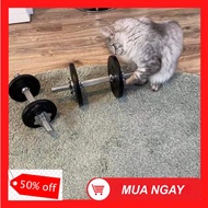 Set of 2 9,8kg assembled dumbbells with genuine gloves