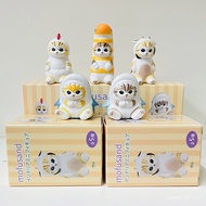 Shark Model Cat 5 Boxes Egg Scenery Designer Mofusand Style Eikoh Shark Collection Cat Illustration 