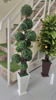 bunga/pohon sudut bola2 bonsai