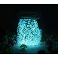 Luminous BEADS/Luminous FISH-e99
