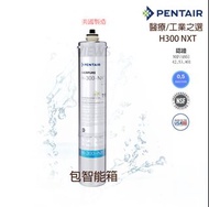 全新行貨❗Pentair Everpure H300 NXT 濾芯 (醫療/工業級首選) Water filter, 相比H104, H-104, Doulton,3M 更效用 (需留電話諮詢/下單)