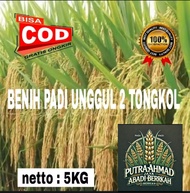 bibit padi 2 TONGKOL super 5KG