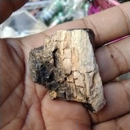 【hot sale】 KAHOY NA NAGING BATO o fossil petrified wood