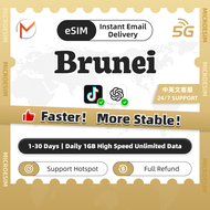 Brunei eSIM Pro 5G Travel Data Plan | Daily 1GB High Speed Unlimited Data | 24/7 Support | Instant A