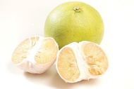 產銷履歷大白柚2箱 每箱10台斤(約4-5顆)*2箱
