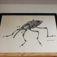 寫實純手繪 | 象鼻蟲 甲蟲 | 自然類 | 含IKEA畫框