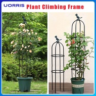 Garden Stand Outdoor Arch Flower Decoration Arch Rack Climbing Flower Stand rose arch solid Garden S