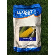 Benih Jagung Manis Sweet Corn Seed Sugar Rich 592 F1 Hybrid 500gm Leckat