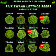 Katanim | RZ Green Lettuce Seeds Collection 1 (Repacked 100 seeds) Rijk Zwaan Hydroponics Lalique Du