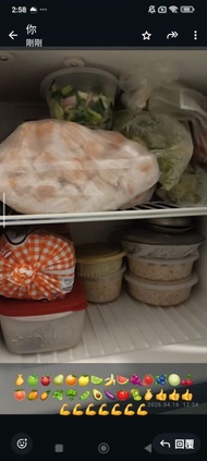💯💚World Famous👍Renowned Brand👍Quality Reliable世界名品名牌👍日本東芝雪櫃/冰箱🔎Japan Toshiba Refrigerator👍 Freezer👍F