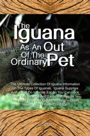The Iguana As An Out Of The Ordinary Pet Kevin Brown