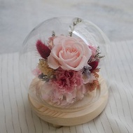 粉紅永生花玻璃球 中型玻璃罩 母親節康乃馨 永生玫瑰