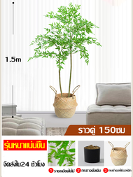 🎍สีไม่จางลง50ปี🎍ต้นไม้ปลอม ต้นไม้ปลอมใหญ่ ต้นไผ่ ต้นไผ่ปลอม ต้นไม้ปลอมสวยๆ 120/150ซม เสียบกระถางได้ 