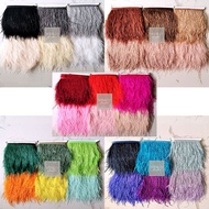 Ostrich Feather Height 10cm - 15cm Ostrich Feather 10-15cm Ostrich Lace Length A