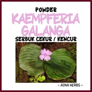 HSK [50g] SERBUK CEKUR KENCUR DALAM BOTOL | KAEMPFERIA GALANGA POWDER