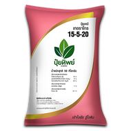 ปุ๋ยทิพย์ 15-5-20 +MgO+B 1 kg เร้งต้น เพิ่มขนาด เพิ่มความหวาน