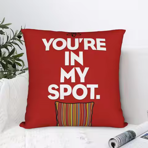 Pillow Case Funny TV The Big Bang Theory Soft Pillow Cover For Couch Sofa Bedroom Kawaii Pillowcases