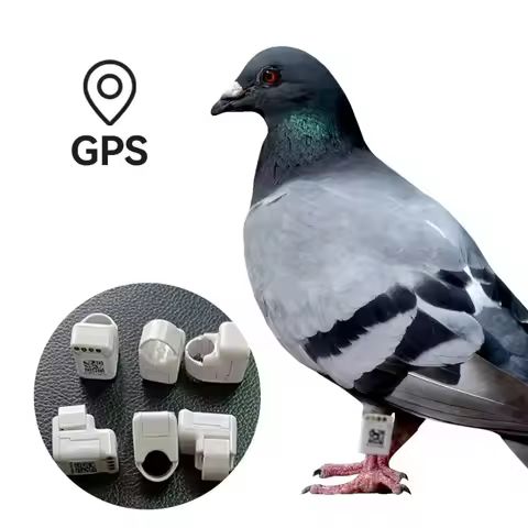 New Arrival Bird Tracker Real-time Positioning Pigeon Racing Training Tracker Gps Pigeon Tracking El