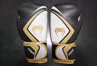 Boxing Gloves 拳套 (8oz) and Pads 拳靶