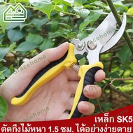 【GraceHome】SK5 กรรไกรตัดกิ่งไม้ อุปกรณ์ทำสวน กรรไกรตัดผ้า กรรไกรตัดหญ้า กรรไกรตัดแต่งกิ่งไม้ มีดตอนกิ่งไม้ คีมตอนกิ่งไม้ กันไกรตัดกิ่ง กรรไกรทำบอนไซ กรรไกรตัดกิ่งบอนไซ กรรไกรตัดกิ่งด้ามยาว กรรไกรสแตนเลส ที่ตัดกิ่งไม้ กรรไกรกระตุกกิ่งไม้ กรรไกรตัดต้นไม้