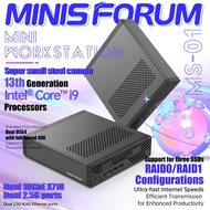 Computer Minisforum MS-01 MiniWorkstation high-performance Intel 13th