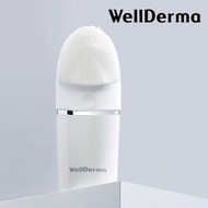 韓國 WELLDERMA 高震度奈米洗臉儀 (平行進口)