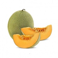 Fresh Rock Melon Fruit/Buah Tembikai Susu Manis