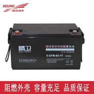 Kehua Jingwei Battery 6-GFM-100-YT/12V100AH/12V65AH12V38AH/12V24AH