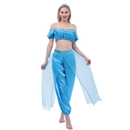 Adult Princess Jasmine & Aladdin Inspired Belly Dance Costume