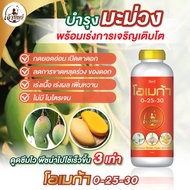 ปุ๋ยน้ำสูตรพรีเมียมสำหรับมะม่วง โอเมก้า 0-25-30 เปิดตาดอก ผลสวย บำรุงดอก บำรุงผล น้ำหนักดี ผลสวย ขนา