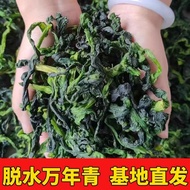 【YunBox Munchies】Dehydrated Evergreen Vegetable - Premium Dried Greens Dehydrated evergreen plant