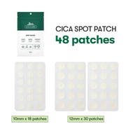 [VT] Invisible Standard Version/CICA Version/Pro-CICA Oily Skin, Mixed Skin Pimple Patch Acne Patch