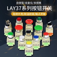 New Product#10只金泉自锁/Self-Reset LAY37 One Open One Closing Open Flat Head Button PBC/Y090 Switch 12Y 