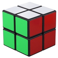 Shengshou 2x2 Speed Cube 2x2x2 Magic Cube with Frosted sticker