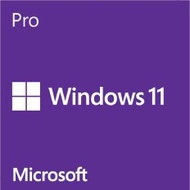 【Microsoft 微軟】Windows 11 專業隨機版 64位元中文版