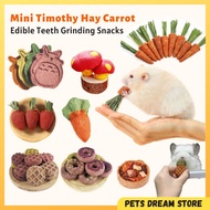 Natural Mini Carrot Timothy Hay Hamster Snacks Edible Dental chew molar rabbit Guinea pig snack teet