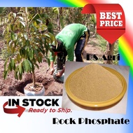1kg Rock Phosphate Powder / Baja Akar / 磷肥
