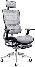 HDZWW Ergonomic Office Chair, Computer Desk Chair Breathable Mesh with Adjustable Lumbar Support, Armrests Headrest, Tilt &amp; Lock High Back Executive Chair (Color : White)
