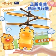 2026 New Style Capybara Lulu Induction Airplane Toy 60316
