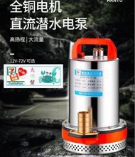  韓羽直流潛水泵12V24V48V60V伏電瓶車水泵電動車抽水泵農用抽水機  露天