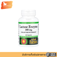 พร้อมส่ง Natural Factors Lactase Enzyme 9000 FCC ALU 60 Capsules