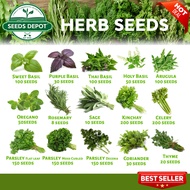 Herb Seeds - Basil Rosemary Oregano Thyme Sage Celery Kinchay Basil Parsley Mint Amaranth Coriander 