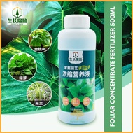 Growth Magic Foliage Fertilizer Concentrate 500ml Baja Foliar Keladi Bunga