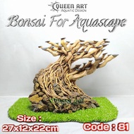 Code.81 - Senggani Root Bonsai for Aquascape